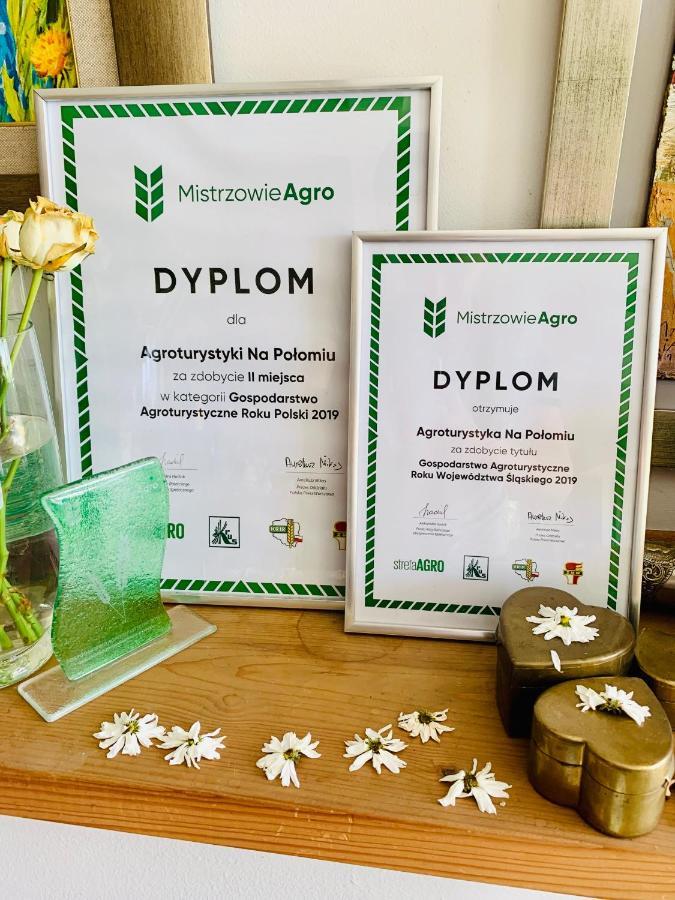 Agroturystyka „Na Polomiu” Istebna Buitenkant foto